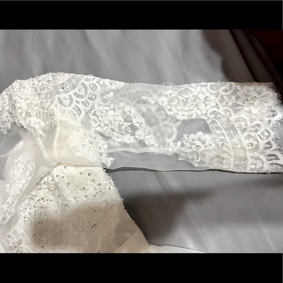 Wedding Dress - Picture 10 of 11